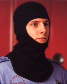 hood.jpg (8829 bytes)