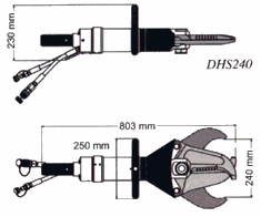 dhs240-1.gif (7043 bytes)