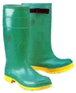 bot.jpg (7247 bytes)