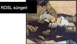 rsdl-2.gif (18004 bytes)