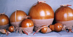 shells.jpg (18641 bytes)